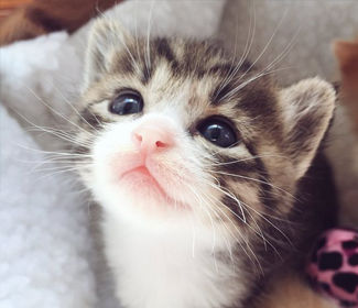 測繪CAD丨批量標注坐標，你不需要嗎？